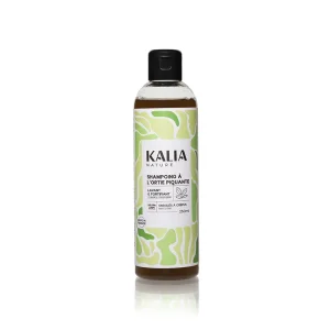 SHAMPOING A L'ORTIE 250 ml